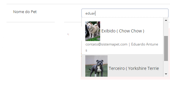 Exemplo de pesquisa